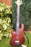 Ray Cooper Custom 5 string