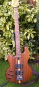 Wal Custom Mach 1